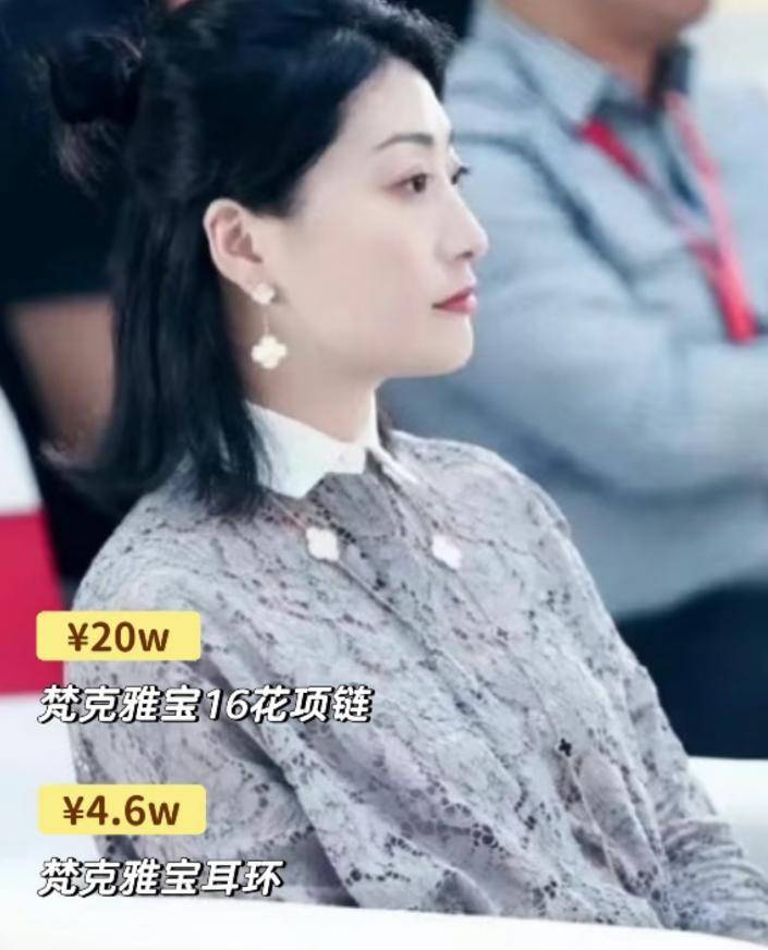 同款宗馥莉收藏的顶级珠宝“亮瞎”我眼瓦力游戏app从豹子胸针到“英女王”(图8)