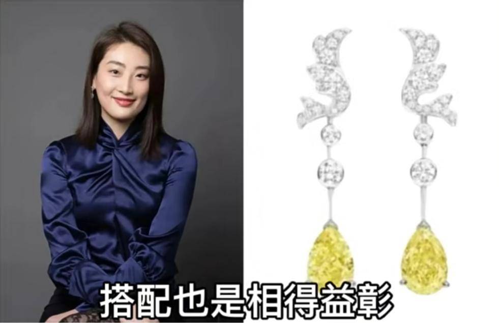同款宗馥莉收藏的顶级珠宝“亮瞎”我眼瓦力游戏app从豹子胸针到“英女王”(图14)