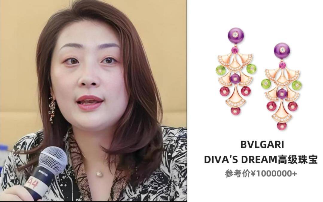 同款宗馥莉收藏的顶级珠宝“亮瞎”我眼瓦力游戏app从豹子胸针到“英女王”(图22)