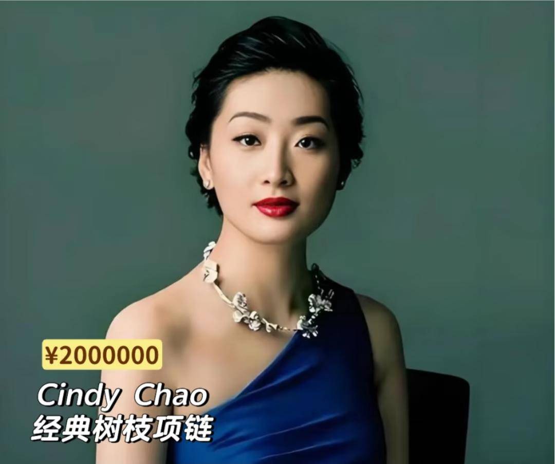 同款宗馥莉收藏的顶级珠宝“亮瞎”我眼瓦力游戏app从豹子胸针到“英女王”(图24)